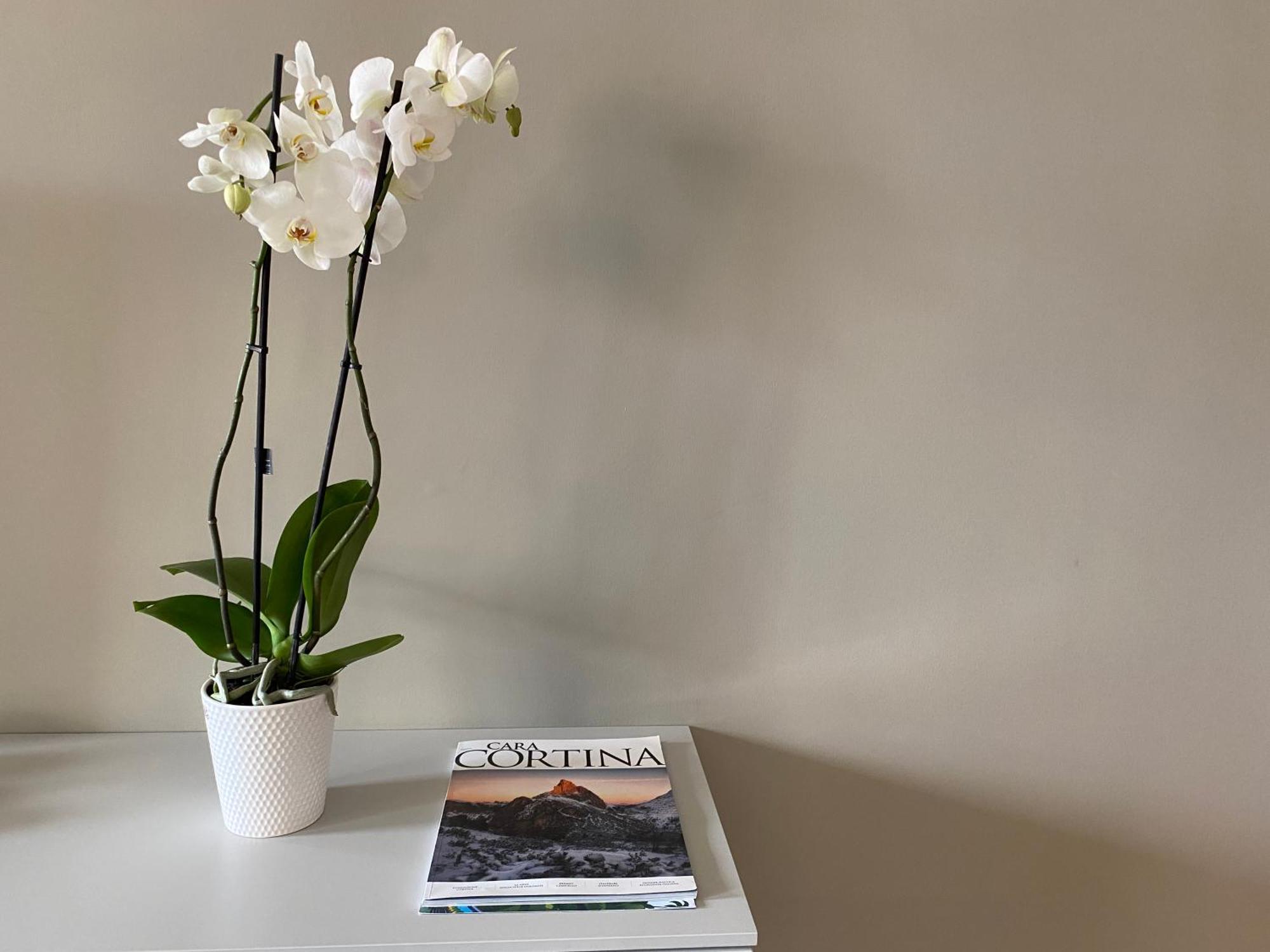 Julie'S House Lecce City Center Apartment Bagian luar foto